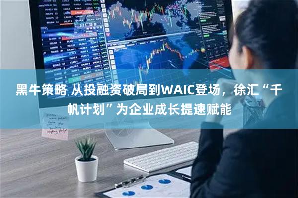 黑牛策略 从投融资破局到WAIC登场，徐汇“千帆计划”为企业成长提速赋能
